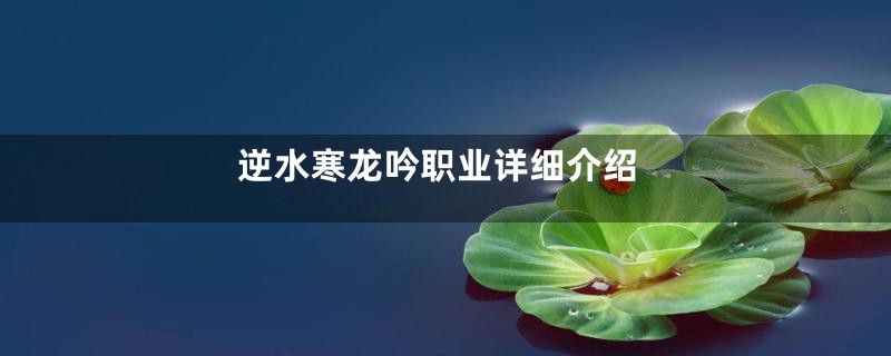 逆水寒龙吟职业详细介绍