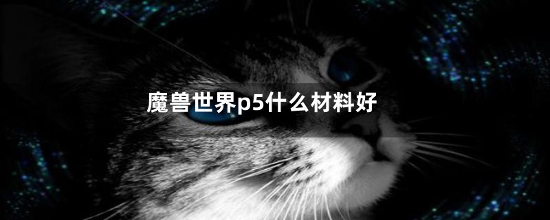 魔兽世界p5什么材料好