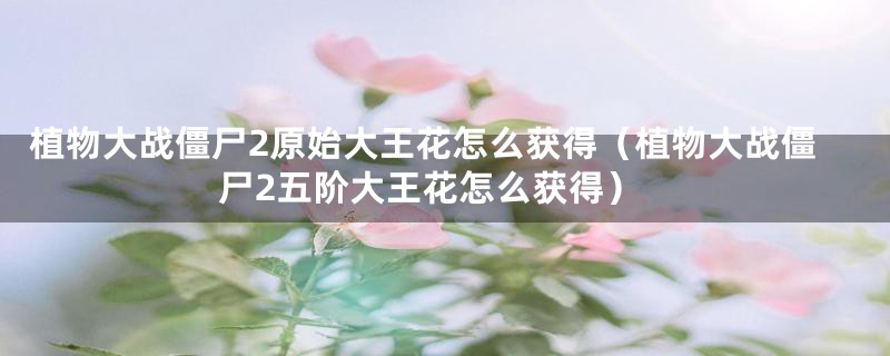 植物大战僵尸2原始大王花怎么获得(植物大战僵尸2五阶大王花怎么获得)