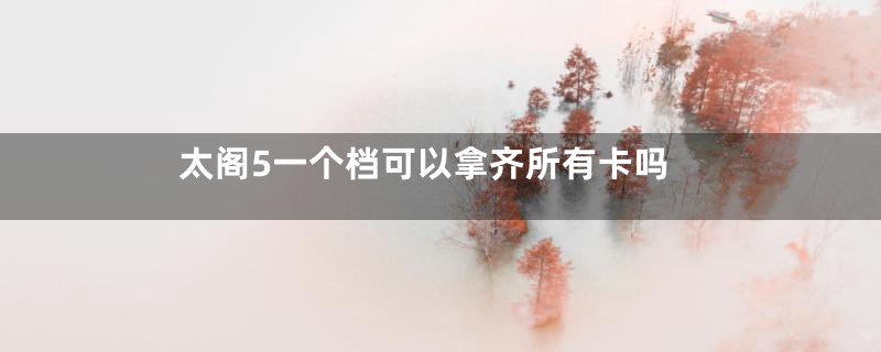 太阁5一个档可以拿齐所有卡吗