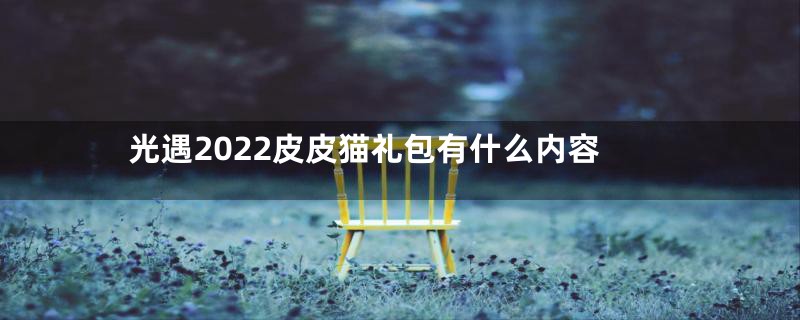 光遇2022皮皮猫礼包有什么内容