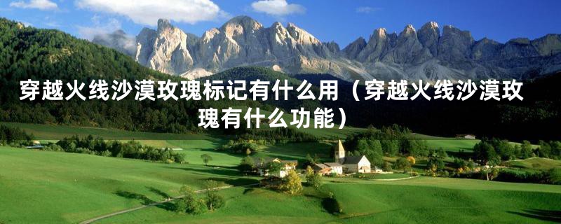 穿越火线沙漠玫瑰标记有什么用（穿越火线沙漠玫瑰有什么功能）