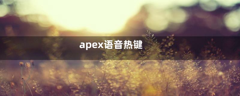 apex语音热键