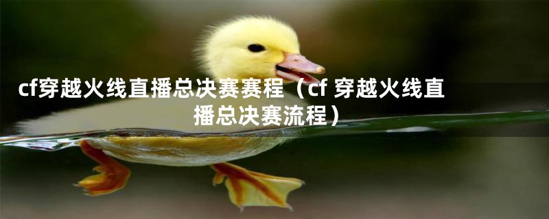cf穿越火线直播总决赛赛程（cf 穿越火线直播总决赛流程）