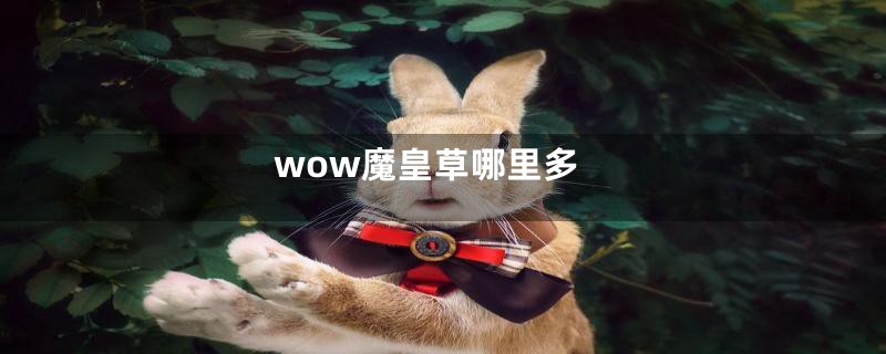 wow魔皇草哪里多