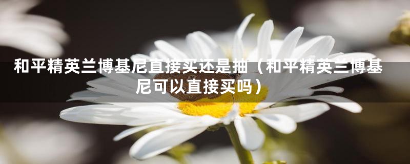 和平精英兰博基尼直接买还是抽（和平精英兰博基尼可以直接买吗）