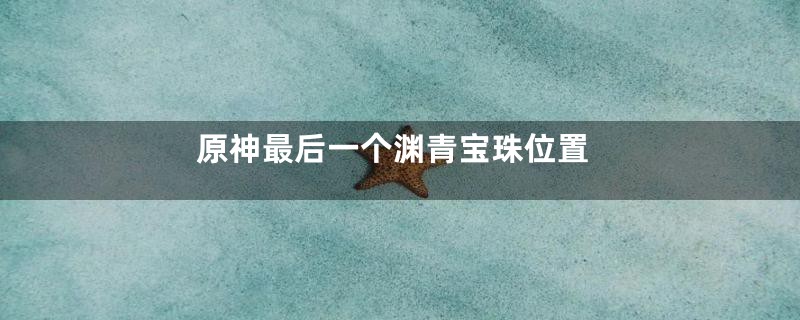 原神最后一个渊青宝珠位置