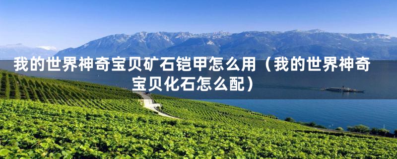 我的世界神奇宝贝矿石铠甲怎么用（我的世界神奇宝贝化石怎么配）