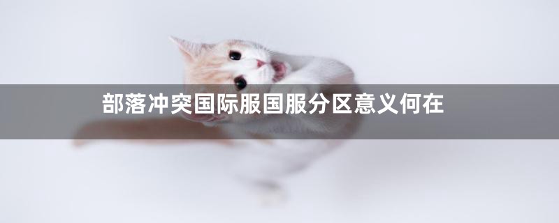 部落冲突国际服国服分区意义何在