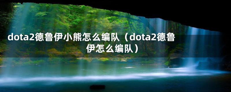 dota2德鲁伊小熊怎么编队(dota2德鲁伊怎么编队)