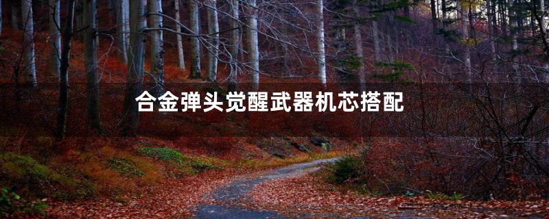 合金弹头觉醒武器机芯搭配