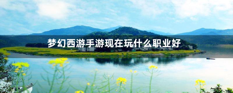 梦幻西游手游现在玩什么职业好