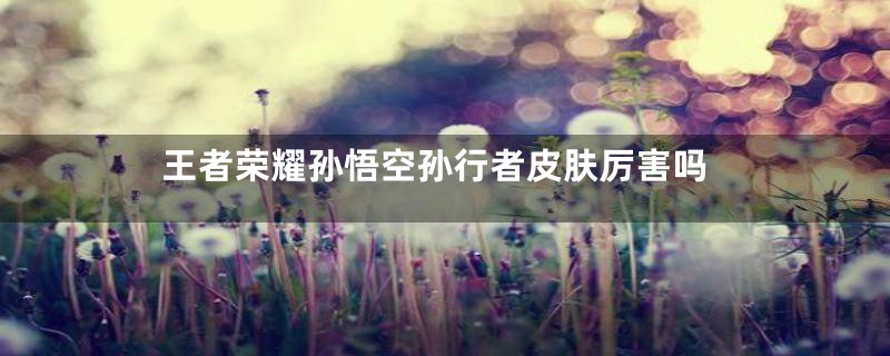 王者荣耀孙悟空孙行者皮肤厉害吗