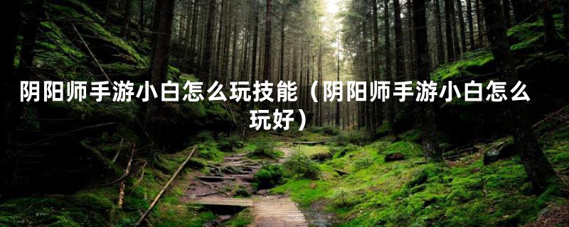 阴阳师手游小白怎么玩技能（阴阳师手游小白怎么玩好）