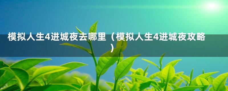 模拟人生4进城夜去哪里（模拟人生4进城夜攻略）