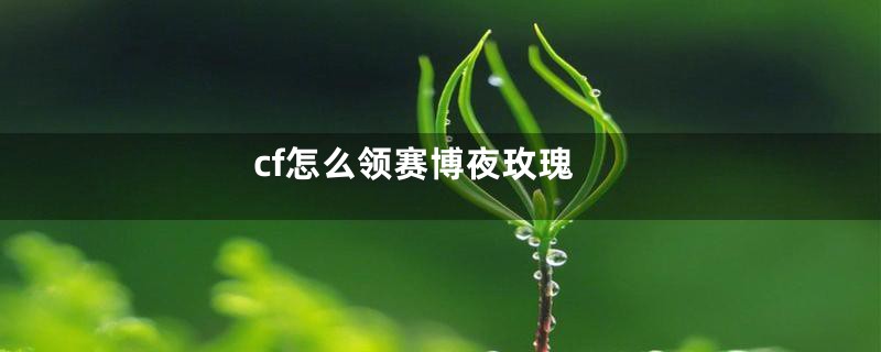 cf怎么领赛博夜玫瑰