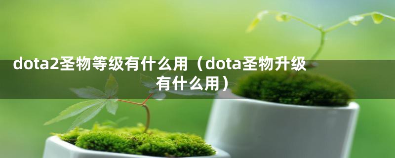 dota2圣物等级有什么用（dota圣物升级有什么用）