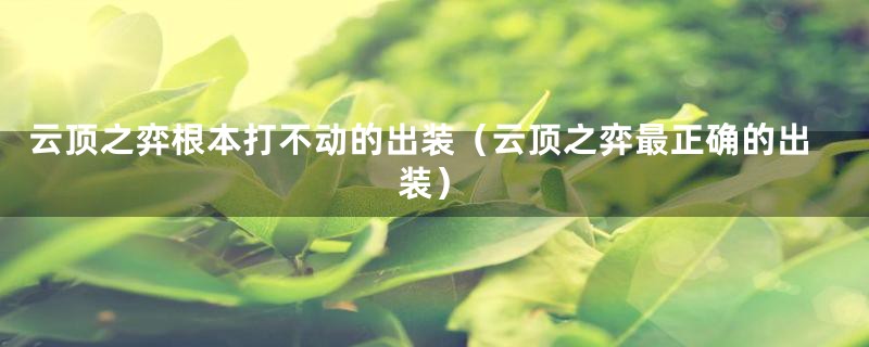 云顶之弈根本打不动的出装（云顶之弈最正确的出装）