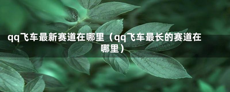 qq飞车最新赛道在哪里(qq飞车最长的赛道在哪里)