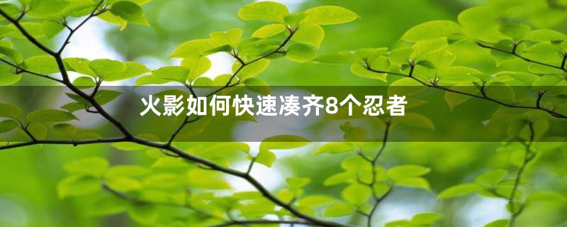火影如何快速凑齐8个忍者