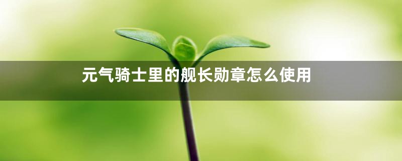 元气骑士里的舰长勋章怎么使用