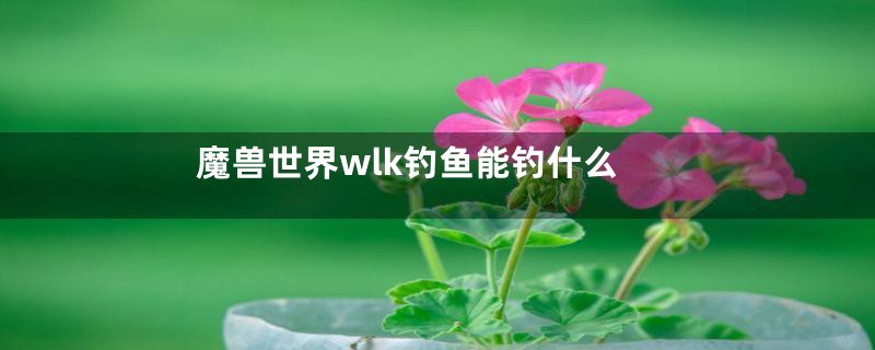 魔兽世界wlk钓鱼能钓什么