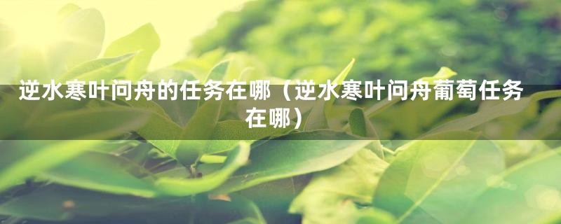 逆水寒叶问舟的任务在哪（逆水寒叶问舟葡萄任务在哪）