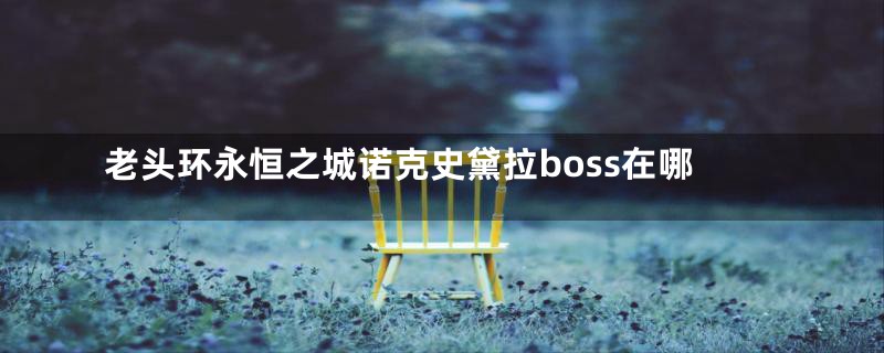 老头环永恒之城诺克史黛拉boss在哪