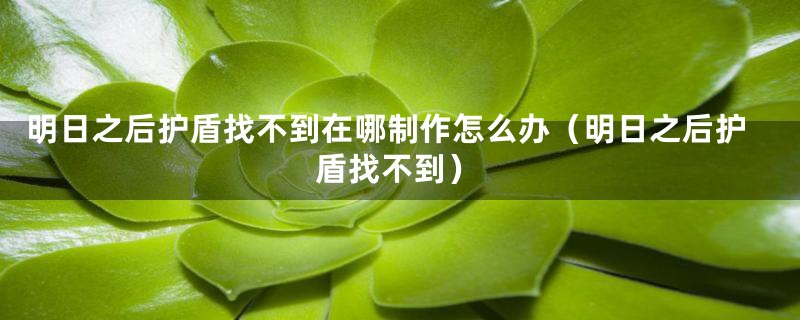 明日之后护盾找不到在哪制作怎么办（明日之后护盾找不到）