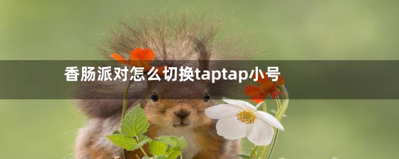 香肠派对怎么切换taptap小号