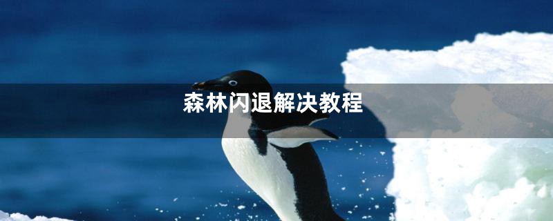 森林闪退解决教程