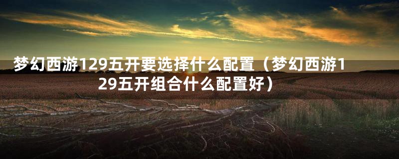 梦幻西游129五开要选择什么配置（梦幻西游129五开组合什么配置好）