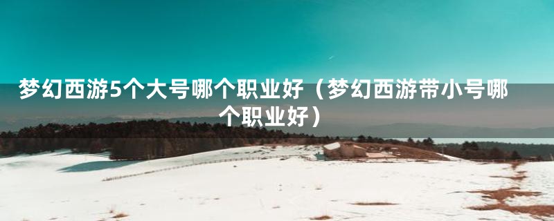 梦幻西游5个大号哪个职业好（梦幻西游带小号哪个职业好）