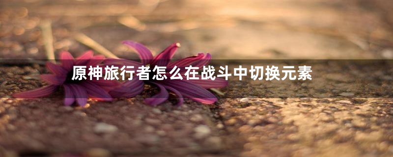 原神旅行者怎么在战斗中切换元素
