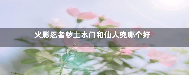 火影忍者秽土水门和仙人兜哪个好