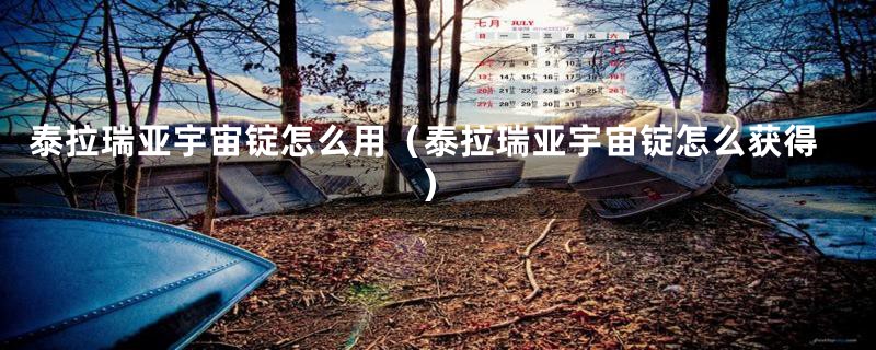 泰拉瑞亚宇宙锭怎么用（泰拉瑞亚宇宙锭怎么获得）