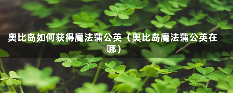 奥比岛如何获得魔法蒲公英（奥比岛魔法蒲公英在哪）
