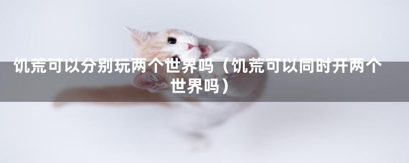 饥荒可以分别玩两个世界吗（饥荒可以同时开两个世界吗）