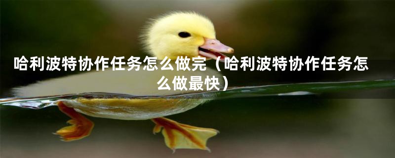 哈利波特协作任务怎么做完(哈利波特协作任务怎么做最快)