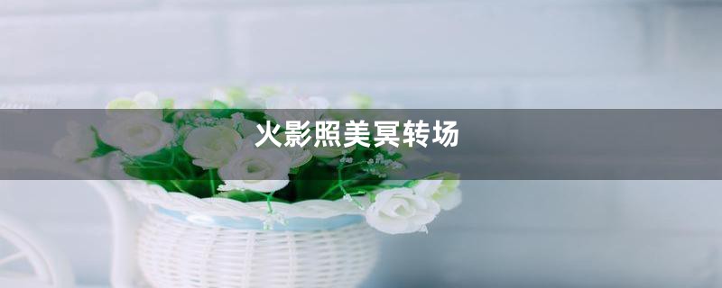 火影照美冥转场