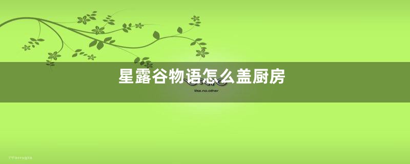 星露谷物语怎么盖厨房