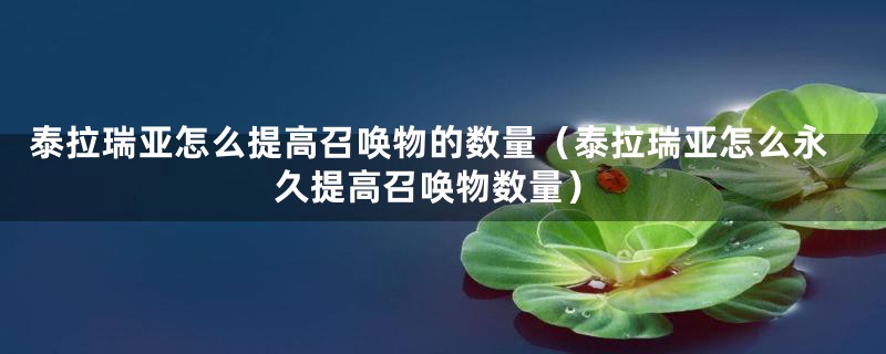 泰拉瑞亚怎么提高召唤物的数量（泰拉瑞亚怎么永久提高召唤物数量）