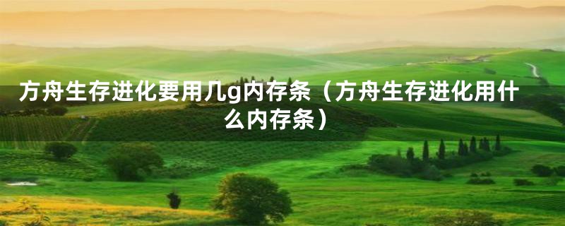 方舟生存进化要用几g内存条（方舟生存进化用什么内存条）