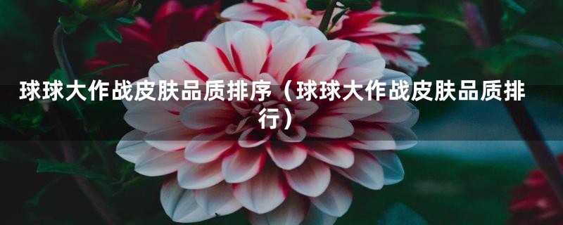 球球大作战皮肤品质排序（球球大作战皮肤品质排行）