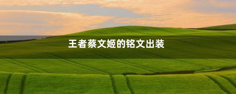 王者蔡文姬的铭文出装