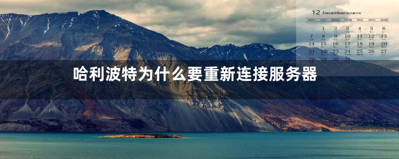哈利波特为什么要重新连接服务器
