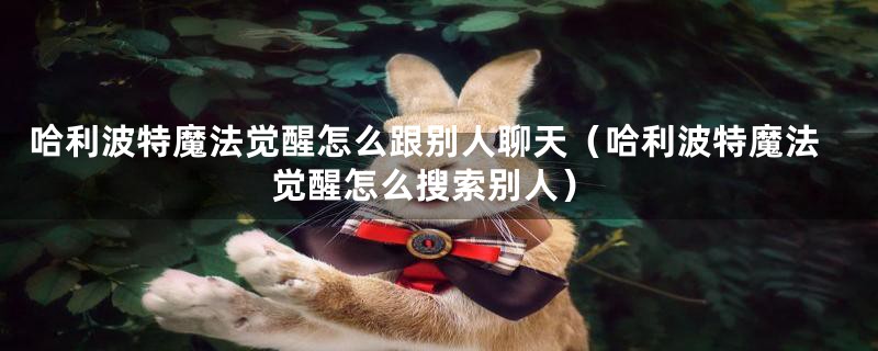 哈利波特魔法觉醒怎么跟别人聊天（哈利波特魔法觉醒怎么搜索别人）