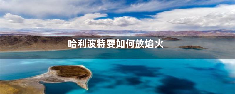 哈利波特要如何放焰火
