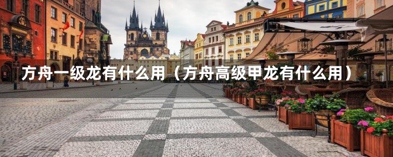 方舟一级龙有什么用（方舟高级甲龙有什么用）