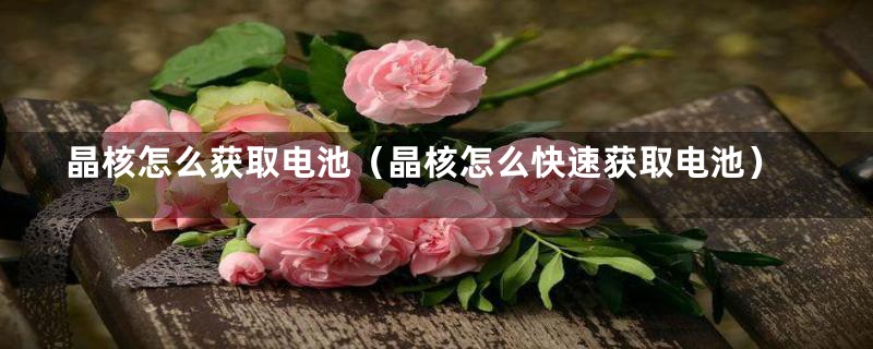 晶核怎么获取电池(晶核怎么快速获取电池)